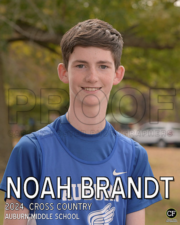 AMS Fall Teams 2425 WEB Cross Country Brandt Noah_ Team8x10 _ Individual 8x10(1)