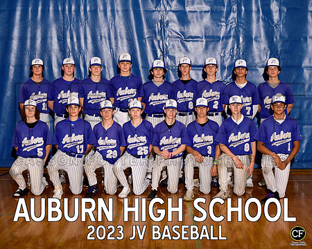AHS Spring Teams 2223 JV Baseball  _ Team8x10 _ Team3 white text(1)