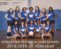 JV Volleyball 810.JV Vball.jpg _ Team8x10 _ Team3(1)