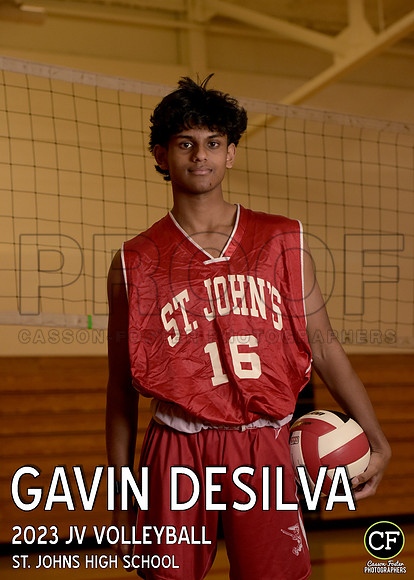 StJHigh Spring Teams 2223 JV Volleyball DeSilva Gavin_ Team5x7 _ Individual2(1)