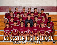 Teams *8x10 PRINT ONLY*
