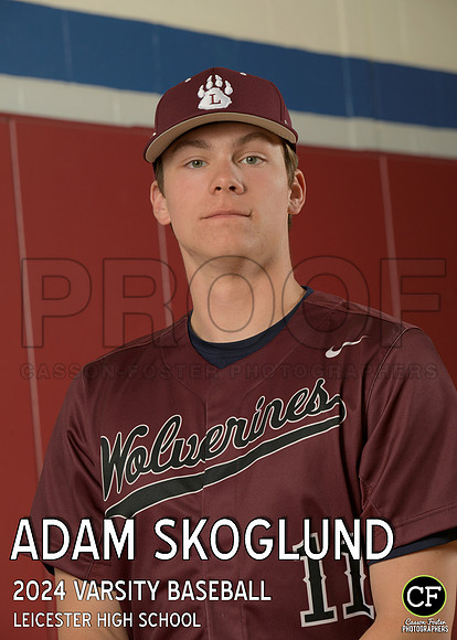 LHS Spring Teams 24 Varsity Baseball Skoglund Adam_ Team5x7 _ Individual2(1)