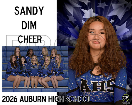 AHSFallTeams26 Cheer Dim Sandy_ Team8x10 _ Sportsmate3(1)