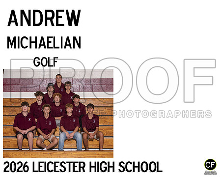 LHS Fall Teams 26 Golf Michaelian Andrew_ Team8x10 _ Sportsmate2(1)