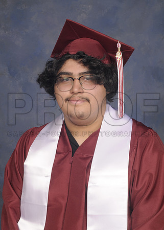 Vega, Andy