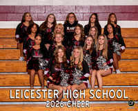 LHS Fall Teams 26 Cheer Cheer.jpg _ Team8x10 _ Team3 white text(1)