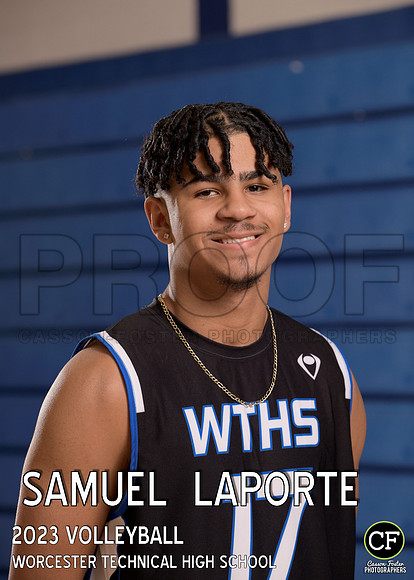 WT Spring Teams 2223 Volleyball Laporte  Samuel _ Team5x7 _ Individual2(1)