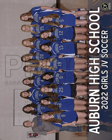 AHS Fall Teams 2223 Girls JV Soccer  _ Team8x10 _ Team3 white text(1)