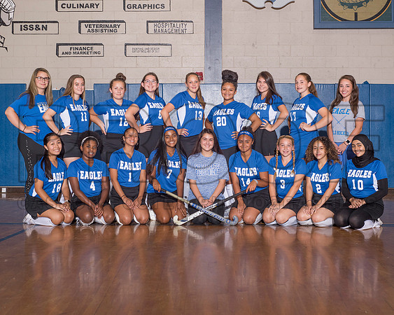 810.V FHockey