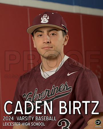 LHS Spring Teams 24 Varsity Baseball Birtz Caden_ Team8x10 _ Individual 8x10(1)