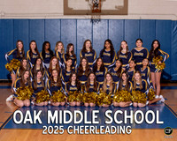 OMS Winter Teams25 Cheerleading _ Team8x10 _ Team3 white text(1)