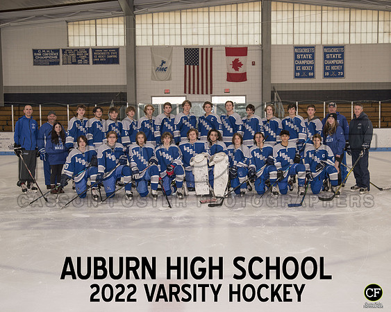 AHS Winter Teams 2122 Varsity Hockey Varsity Hockey.JPG _ Team8x10 _ Team2(1)