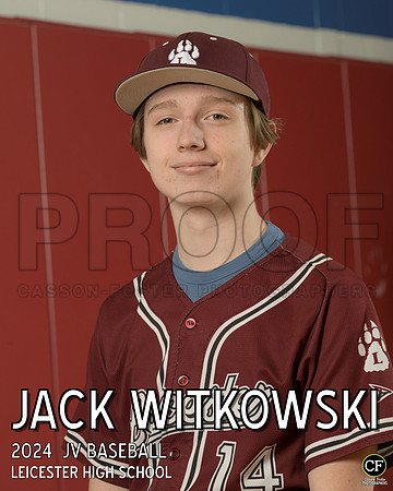 LHS Spring Teams 24 JV Baseball Witkowski Jack_ Team8x10 _ Individual 8x10(1)