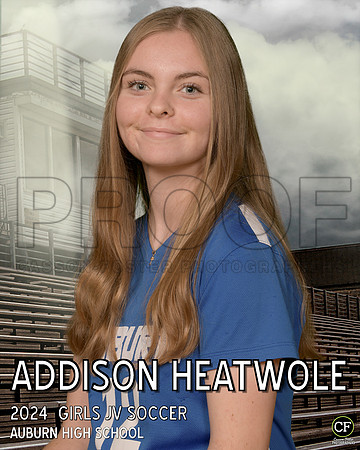 AHSFallTeams2425WEB Girls JV Soccer Heatwole Addison_ Team8x10 _ Individual 8x10(1)