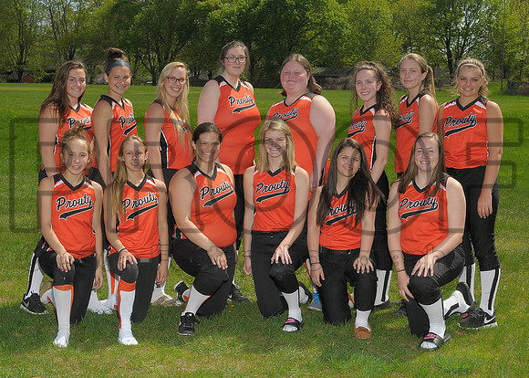 aa V Softball