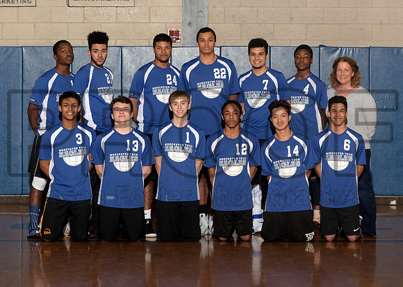 aaBoys Volleyball