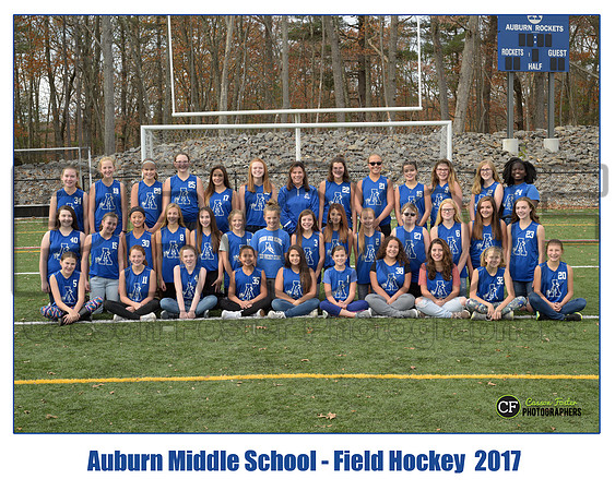 ams field hockey
