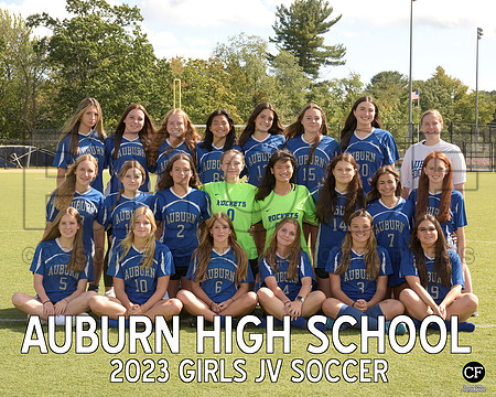 AHS Fall Teams 2324 Girls JV Soccer  _ Team8x10 _ Team3 white text(1)