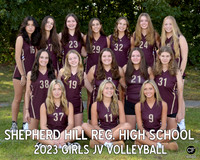 SH Fall Teams 2324 Girls JV Volleyball  _ Team8x10 _ Team3 white text(1)