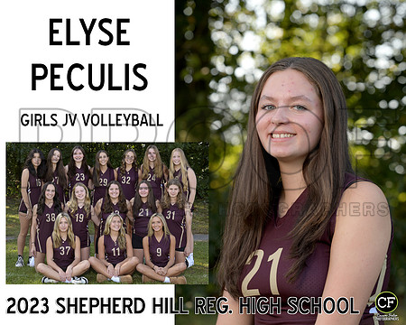 SH Fall Teams 2324 Girls JV Volleyball Peculis Elyse_ Team8x10 _ Sportsmate3(1)