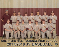 JV BASEBALL 810.JV Baseball.jpg _ Team8x10 _ Team2(1)