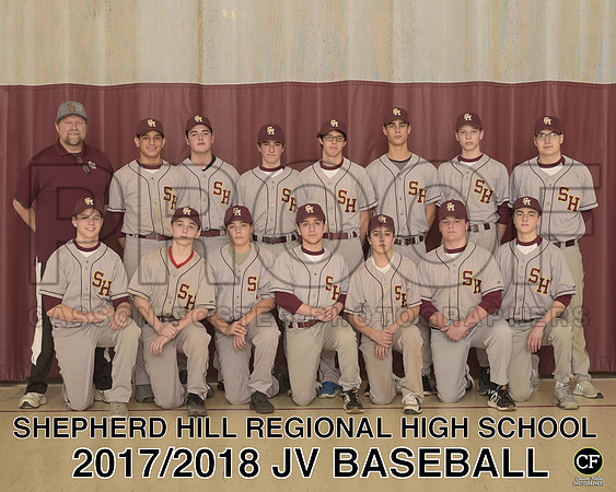 JV BASEBALL 810.JV Baseball.jpg _ Team8x10 _ Team2(1)
