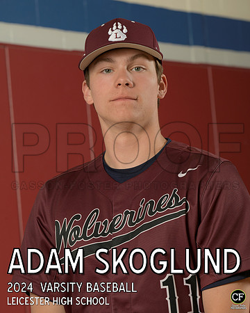 LHS Spring Teams 24 Varsity Baseball Skoglund Adam_ Team8x10 _ Individual 8x10(1)