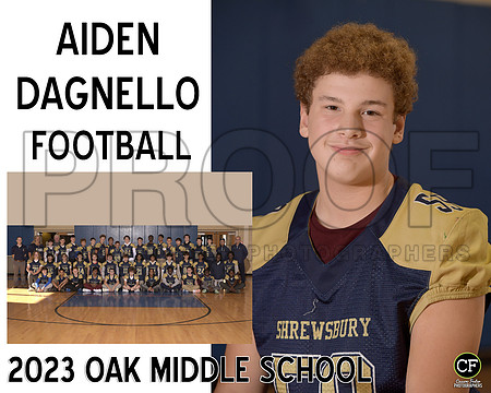 OMSFallTeams23 WEB Football Dagnello Aiden_ Team8x10 _ Sportsmate3(1)