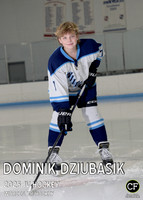 WORCHOCKEY25 JV Hockey Dziubasik Dominik_ Team5x7 _ Individual2(1)