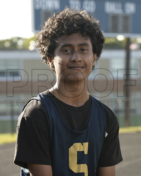 Shah, Sparsh