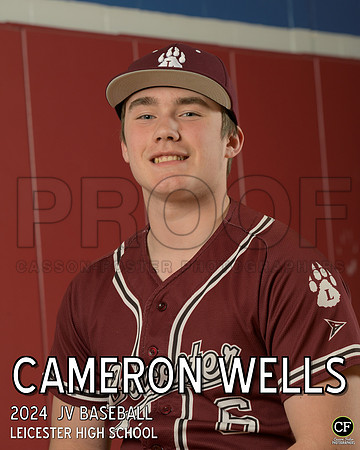 LHS Spring Teams 24 JV Baseball Wells Cameron_ Team8x10 _ Individual 8x10(1)