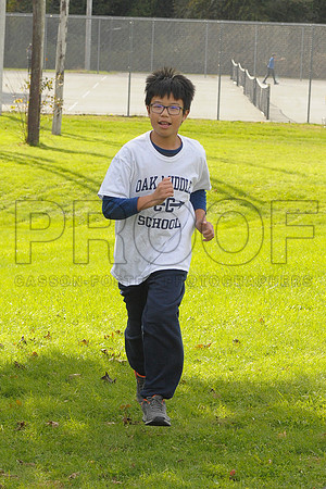 _NMD3339