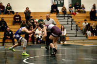 Wrestling