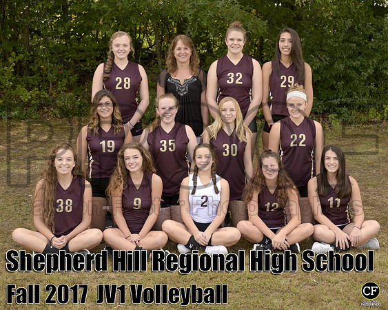 JV Volley 1, , , _ Team8x10 _ Team(1)