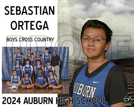 AHSFallTeams2425WEB Boys Cross Country Ortega Sebastian_ Team8x10 _ Sportsmate3(1)