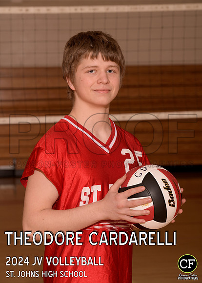 StJSpringTeams24 WEB JV Volleyball Cardarelli Theodore_ Team5x7 _ Individual2(1)