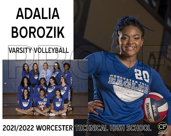 Varsity Volleyball Borozik Adalia_ Team8x10 _ Sportsmate3(1)