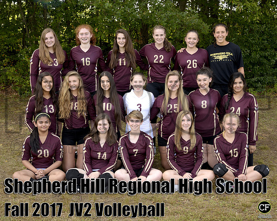 JV Volley 2, , , _ Team8x10 _ Team(1)