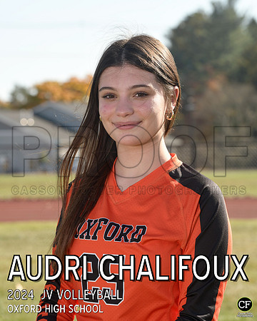 OHS Fall Teams 2425 JV Volleyball Chalifoux Audri_ Team8x10 _ Individual 8x10(1)