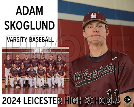 LHS Spring Teams 24 Varsity Baseball Skoglund Adam_ Team8x10 _ Sportsmate3(1)