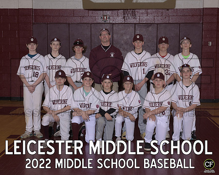LMS Spring Teams 2122 Middle School Baseball  _ Team8x10 _ Team3 white text(1)
