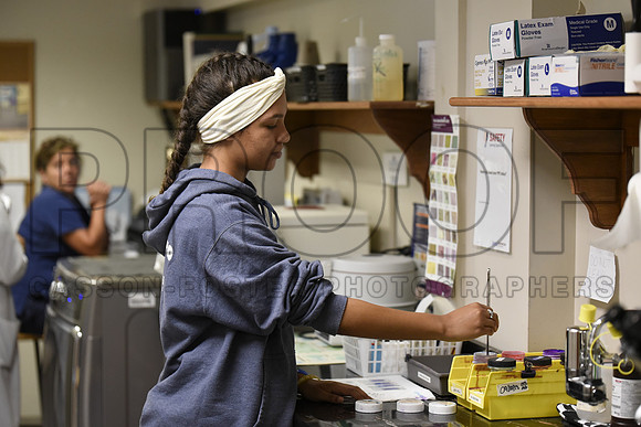 _DSC0735