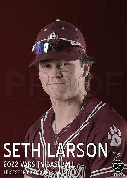 LHS Spring Teams 2122 Varsity Baseball Larson Seth_ Team5x7 _ Individual2(1)