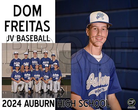 AHSSpringTeams24 JV Baseball Freitas Dom_ Team8x10 _ Sportsmate2(1)