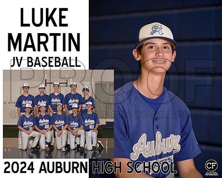 AHSSpringTeams24 JV Baseball martin Luke_ Team8x10 _ Sportsmate2(1)
