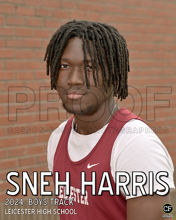 LHS Spring Teams 24 WEB Boys Track Harris Sneh_ Team8x10 _ Individual 8x10(1)