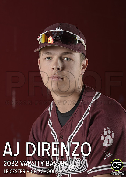 LHS Spring Teams 2122 Varsity Baseball Direnzo AJ_ Team5x7 _ Individual2(1)