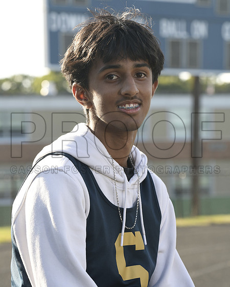 Gopinath, Vikas