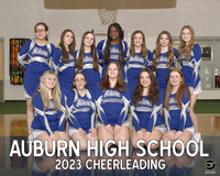 AHS Winter Teams 2223 Cheerleading  _ Team8x10 _ Team3 white text(1)