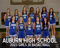 AHS Winter Teams 2223 Girls JV Basketball  _ Team8x10 _ Team3 white text(1)